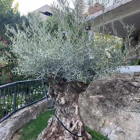 Con Piscina, Jacuzzi Y Basket Junto Al De El Burguillo *