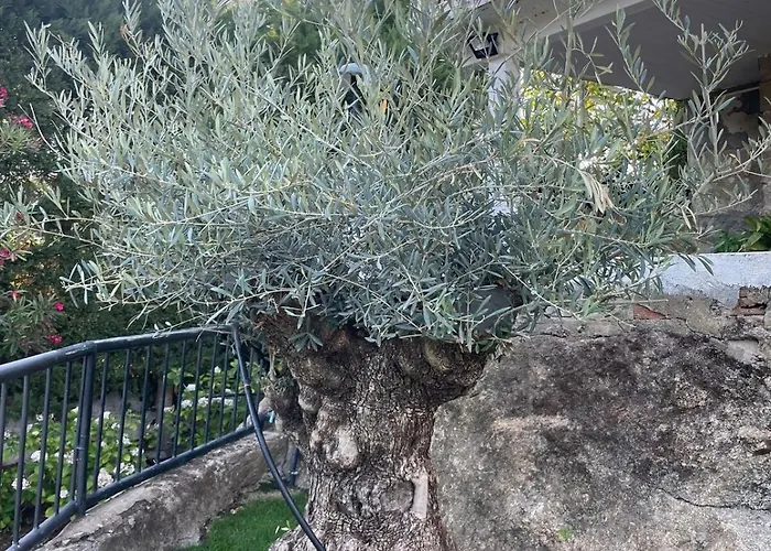 Con Piscina, Jacuzzi Y Basket Junto Al De El Burguillo *